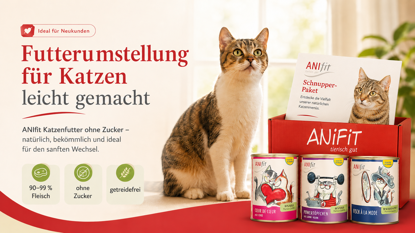ANIfit Katzenfutter Ernährung